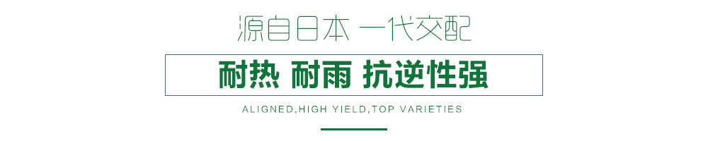 1557817317580706.jpg 詳情頁11.jpg