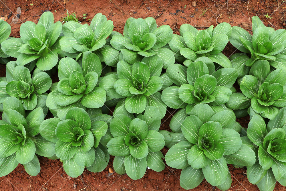 1557817334644237.jpg IMG_4177.jpg