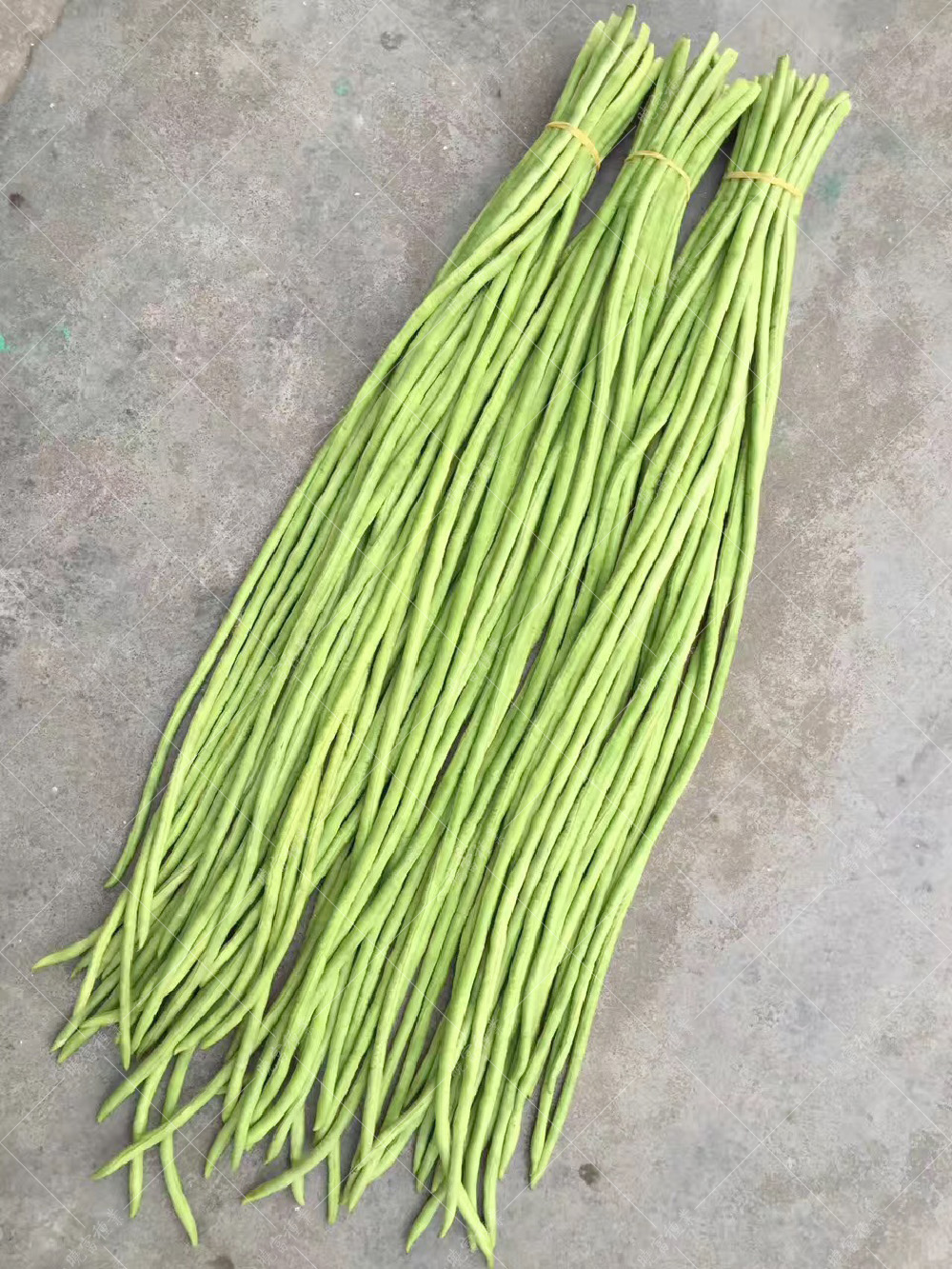 1557986380837158.jpg 54.jpg