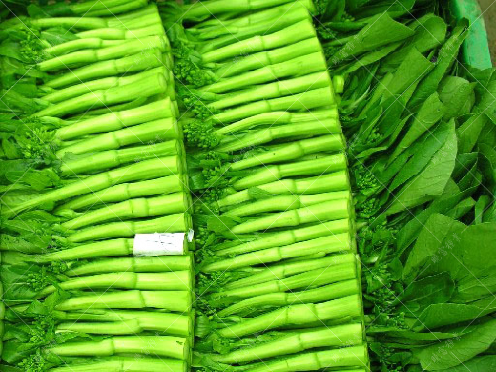 1558591630259139.jpg 8987.jpg