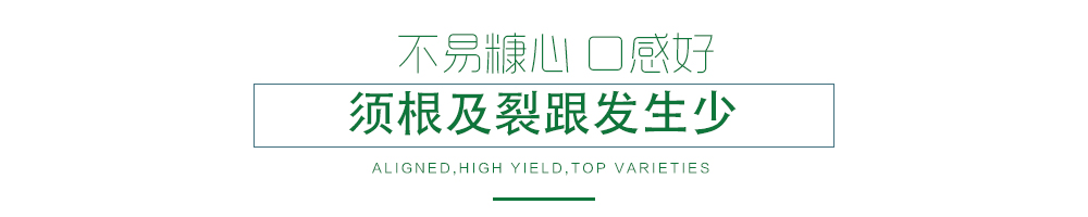 1585788724621673.jpg 07.jpg