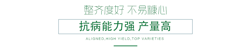 1585789817677567.jpg 07.jpg