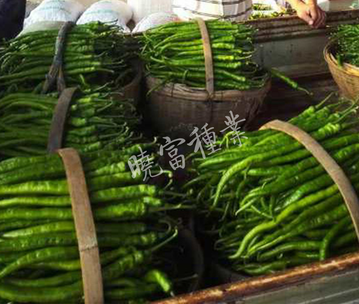 1585790948483935.jpg 06.jpg