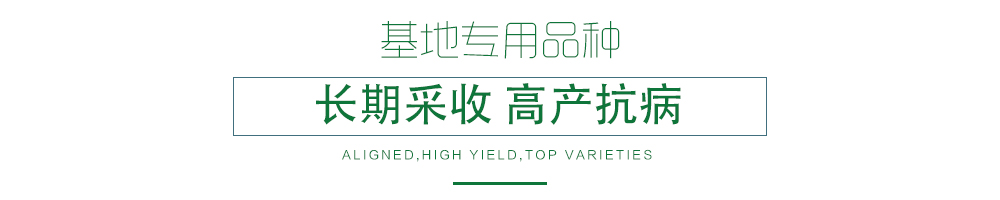 1585791096929100.jpg 07.jpg